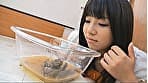 プレミア美人うんち 四 サンプル画像 8