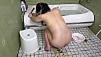 プライベート調教 MM夫婦 なぶられる肛門牝 サンプル画像 17