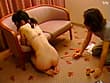 おなら サンプル画像 14