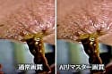 【AIリマスター】おしりの穴 おしりの穴編 サンプル画像 13