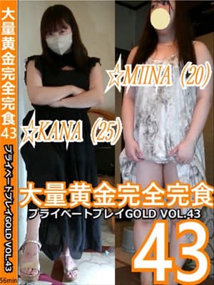 プライベートプレイGOLD VOL.43 大量黄金完全完食43（pg-43） サンプル画像 3