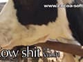 Cow shit Vol.02 サンプル画像 11