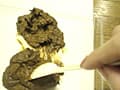 一日一糞 vol.2 サンプル画像 5