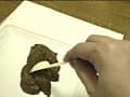 糞一週間 サンプル画像 5