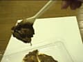 糞一週間 サンプル画像 6