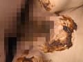 うんこセックス 糞まみれ熟女 サンプル画像 10