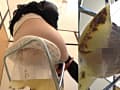 非常用トイレの使い方完全マニュアル サンプル画像 2
