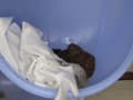実録　面接浣腸閉じ込めウンコ サンプル画像 3
