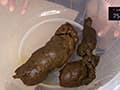 羞恥いかほど 心拍数うんこ2 サンプル画像 19