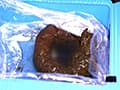 2021年下半期 排泄屋ベスト うんこ編 サンプル画像 13