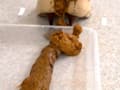 直立脱糞5 排泄実験観察シリーズ36 サンプル画像 2