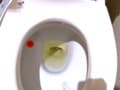 自撮り大便録 1 みさき 2週間の排泄記録 サンプル画像 5