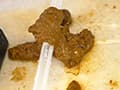 直立脱糞6 排泄実験観察シリーズ39 サンプル画像 10