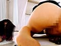 懇願！正座うんこ６ サンプル画像 6