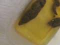 自撮り大便録4 みさき 10日間の排泄記録 サンプル画像 6