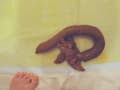 ゆいかの四季折々うんこ サンプル画像 3