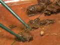 素人排泄日記2 サンプル画像 10