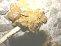 野糞 ギャルの野糞を徹底解剖4 サンプル画像 10