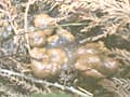 野糞 ギャルの野糞を徹底解剖4 サンプル画像 19