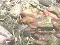 野糞 ギャルの野糞を徹底解剖4 サンプル画像 20