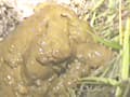 野糞 ギャルの野糞を徹底解剖4 サンプル画像 9