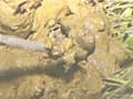 野糞 ギャルの野糞を徹底解剖4 サンプル画像 10