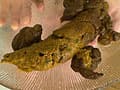 娘のトンネルを突き抜ける特急糞 サンプル画像 9