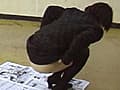 どこでもブリブリ1 どこでも… サンプル画像 5