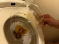 うんこを見せる女たち サンプル画像 12