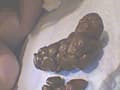 悩める天然女子大生の糞日記 サンプル画像 4