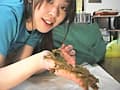 こんな可愛い娘が一人暮らしのアパートで2 サンプル画像 13