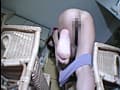 全て極太健康便のサーファーガール サンプル画像 8