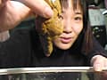 英子のアパート サンプル画像 2