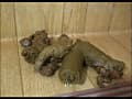 【独占配信】素人自画撮り糞日記 サンプル画像 7