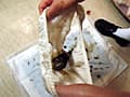 排泄遊戯 サンプル画像 8