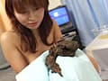 素人ナンパトイレ号がゆく 外伝 熟女脱糞Hyperrrrrrr サンプル画像 3