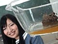 私立脱糞プレミア女学園3 サンプル画像 14