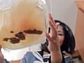 私立脱糞プレミア女学園3 サンプル画像 8