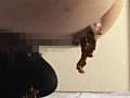 素人ナンパトイレ号がゆく 外伝 ガールズうんち Hyperrrrrrr サンプル画像 7