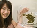 素人うんち倶楽部6 一線を超えた大人の社交場 サンプル画像 12