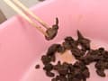 うんこ大好き7 1本糞からポロポロうんこまで十人十色！ サンプル画像 8