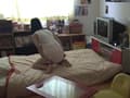 恋するおむつ少女4 赤ちゃんは18歳 メグ528時間の日記 サンプル画像 10