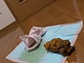 わたしの1ヶ月うんち記録～謝花かなで編～Part4 サンプル画像 7