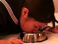 排泄を○要するための○禁 美鈴リリカ サンプル画像 3