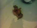 排泄自画撮り うんち日記 サンプル画像 8