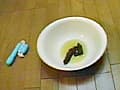 吉沢寛美の毎日のウンコ15日間1 サンプル画像 3