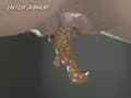 排泄総決算1 （5台マルチカメラ収録） サンプル画像 9