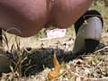 野ぐそ生中継 ユリア サンプル画像 17