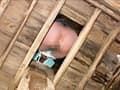 直下型女子便所 北浦みずほ サンプル画像 6