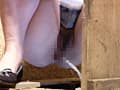 直下型女子便所2 ゆい サンプル画像 6
